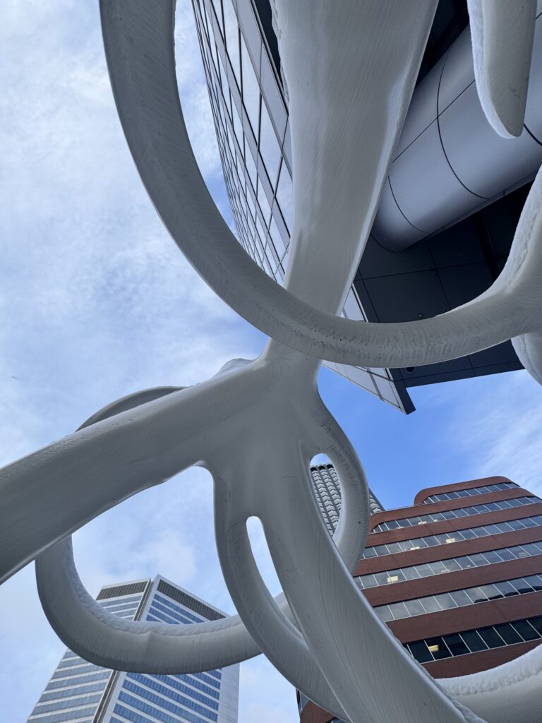 Steve Tobin Calgary, Steelroot