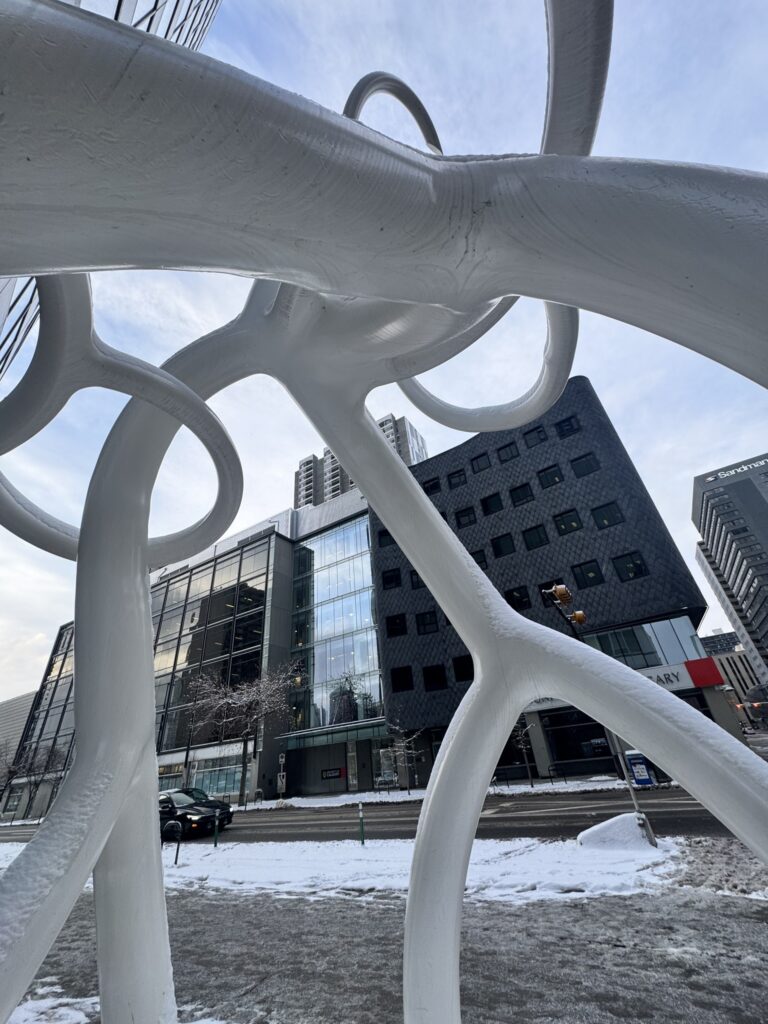 Steve Tobin Calgary, Steelroot